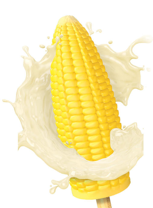 Joyday SWEET CORN 1